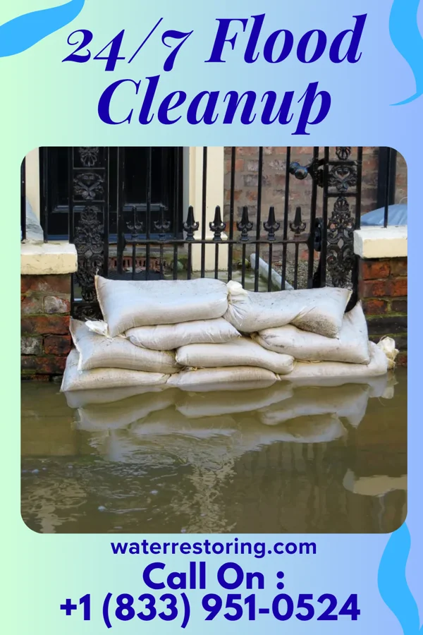 24/7 Flood Cleanup in Screven, GA