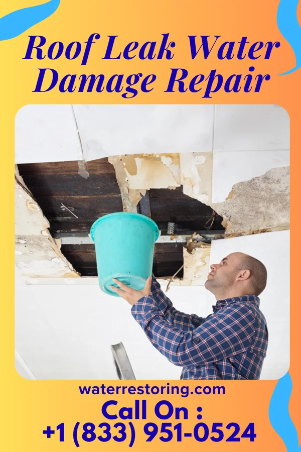 Roof Leak Water Damage Repair in Screven, GA