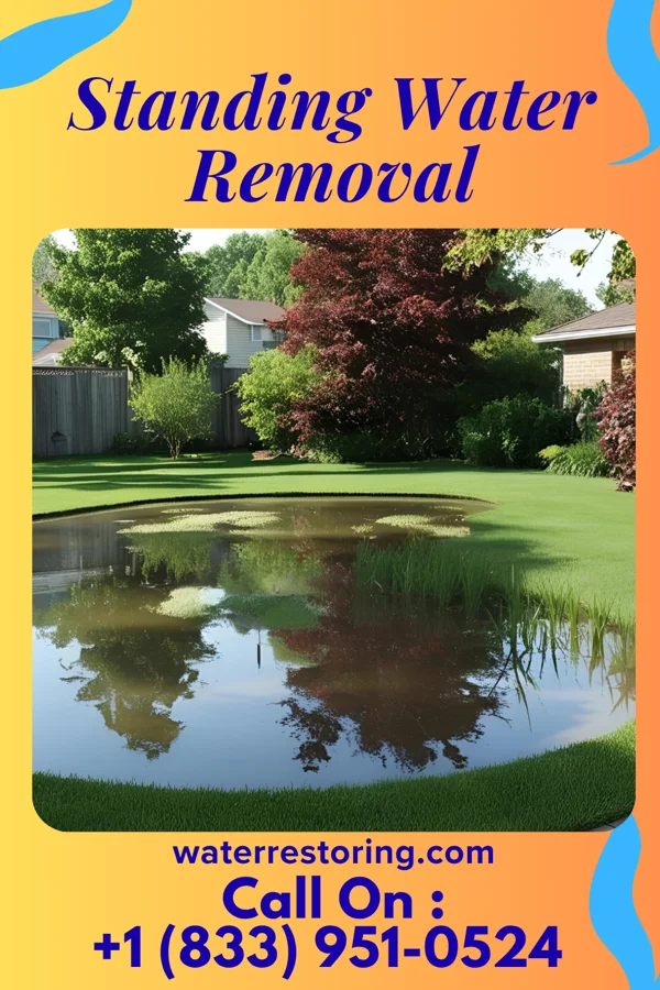 Standing Water Removal in Screven, GA